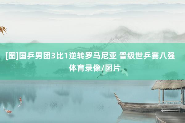 [图]国乒男团3比1逆转罗马尼亚 晋级世乒赛八强    体育录像/图片