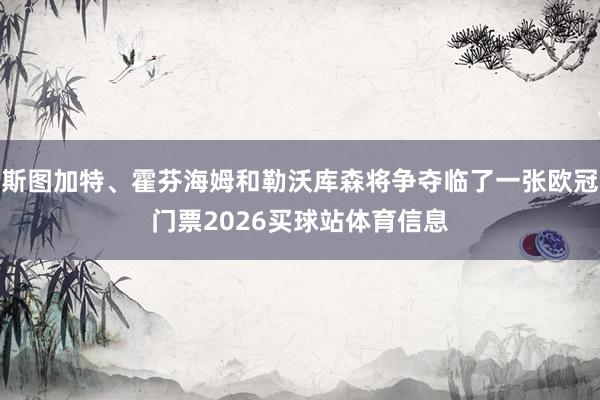 斯图加特、霍芬海姆和勒沃库森将争夺临了一张欧冠门票2026买球站体育信息