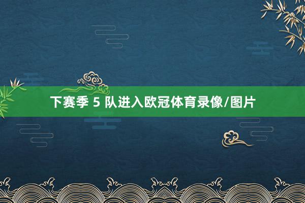 下赛季 5 队进入欧冠体育录像/图片