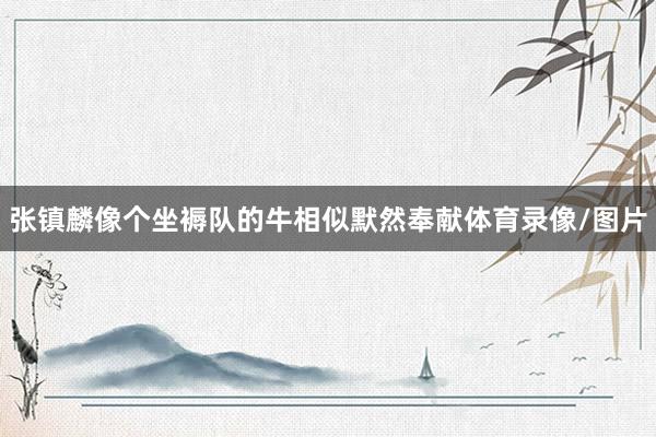 张镇麟像个坐褥队的牛相似默然奉献体育录像/图片