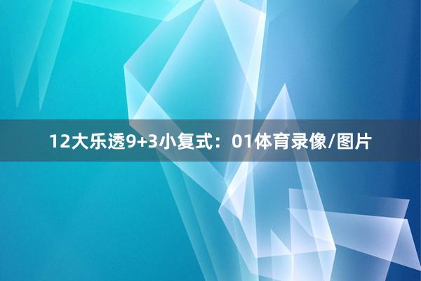 12　　大乐透9+3小复式：01体育录像/图片