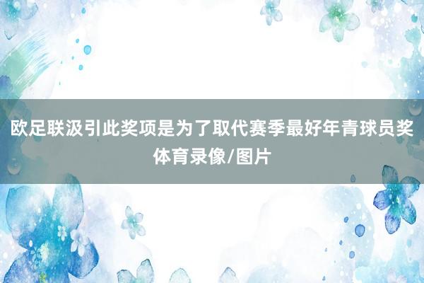 欧足联汲引此奖项是为了取代赛季最好年青球员奖体育录像/图片