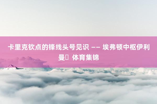 卡里克钦点的锋线头号见识 —— 埃弗顿中枢伊利曼・体育集锦