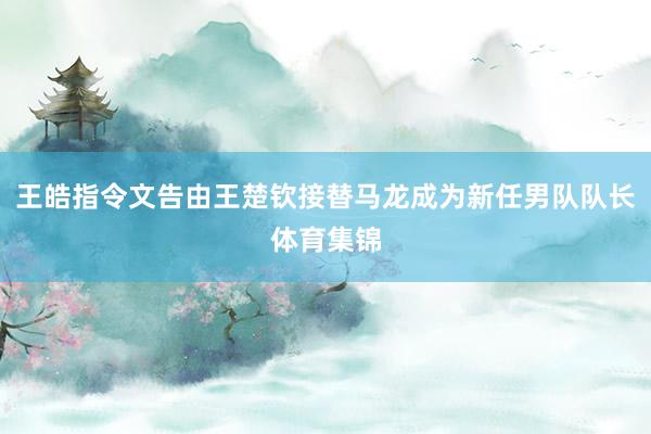 王皓指令文告由王楚钦接替马龙成为新任男队队长体育集锦