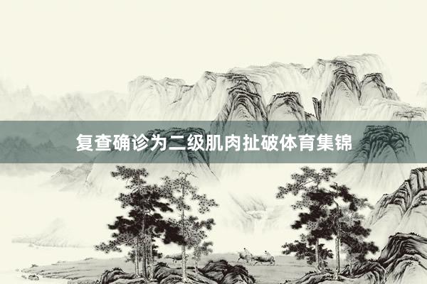 复查确诊为二级肌肉扯破体育集锦
